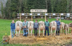 Durrer-Burch Hans Kerns Present PALME 75 Pkt